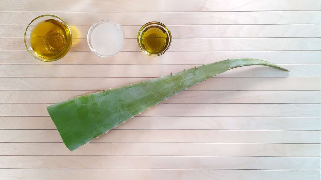 Creme de Aloe Vera com óleo de oliva, uva e coco, foto 2