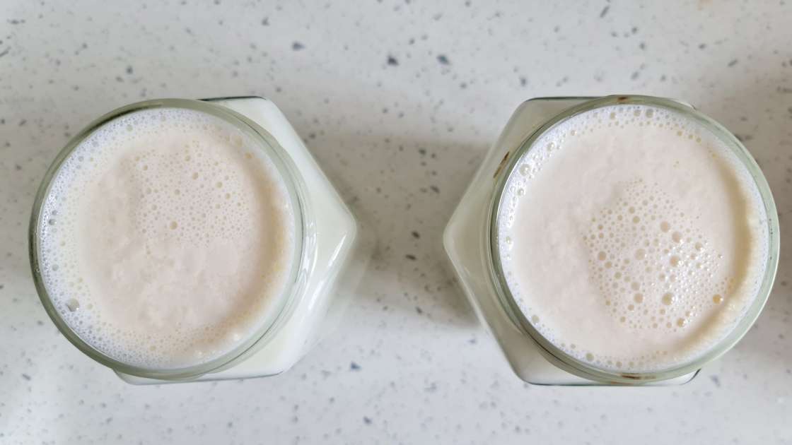 Iogurte caseiro feito de leite fermentado e creme azedo, foto 1