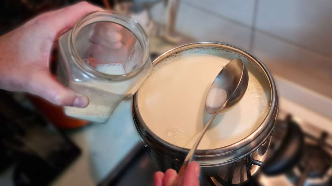 Iogurte caseiro feito de leite fermentado e creme azedo, foto 2