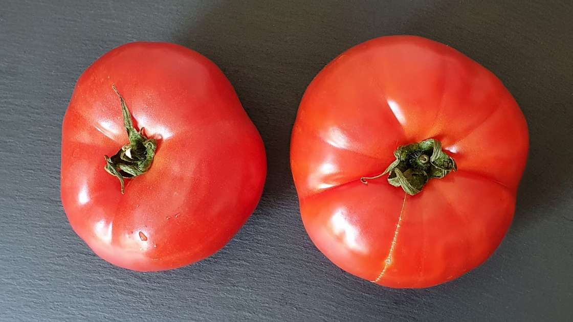 Suco de tomate fresco com mel para fortalecer os ossos e as articulações, foto 3