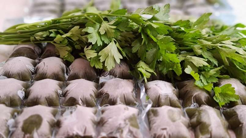 Suco de salsa com limão em bolsas de gelo, foto 6