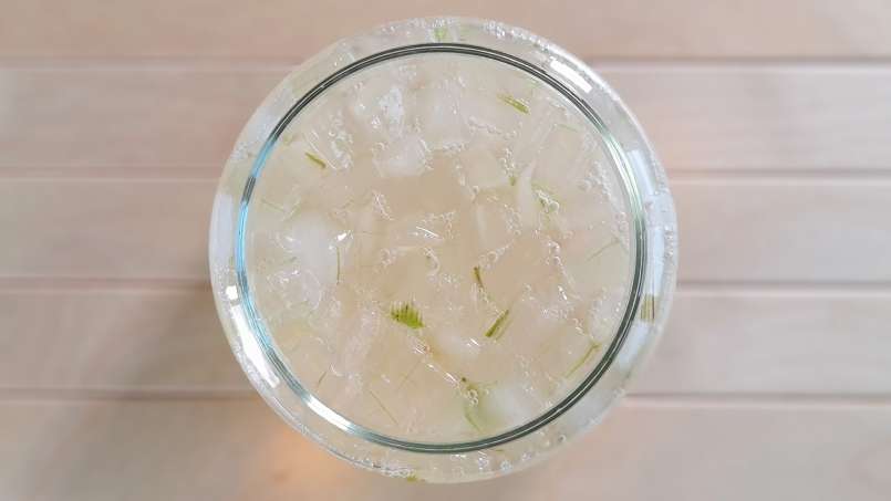 Aloe Vera macerado com mel, foto 4