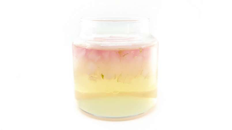 Aloe Vera macerado com mel, foto 14