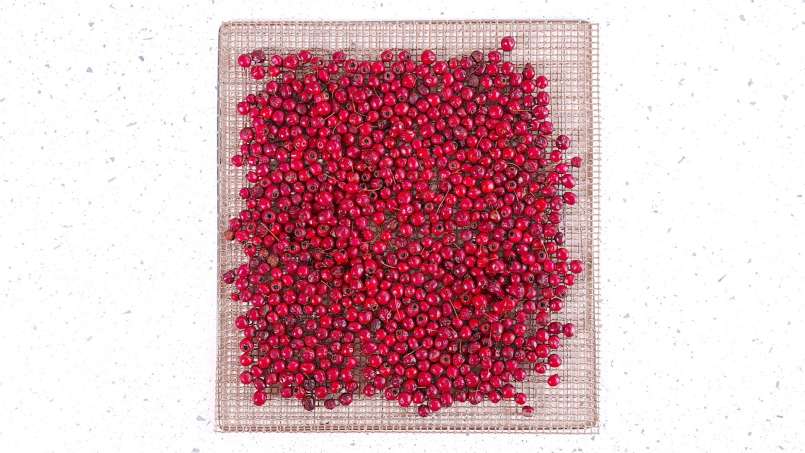 Desidratação de frutos de espinheiro para chá, foto 4