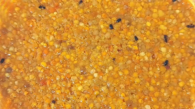 Coquetel de abelhas - um estimulante imunológico e energético natural, foto 10