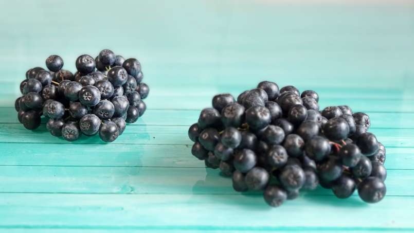 Xarope de Aronia com mel, foto 9