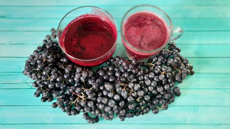 Xarope de Aronia com gengibre e mel, foto 10