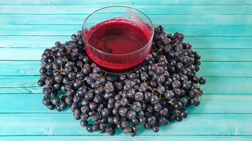 Xarope de Aronia com gengibre e mel, foto 13