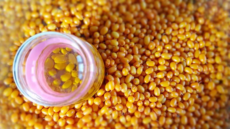 Óleo de passas de transferência, foto 7