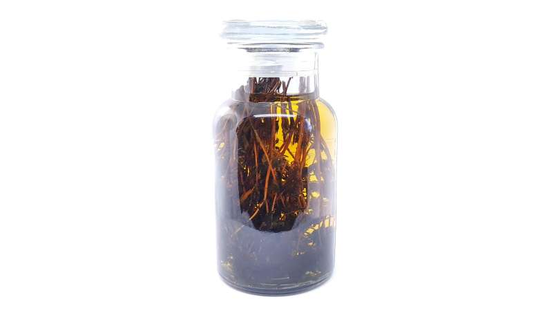 Tintura de tomilho, foto 2