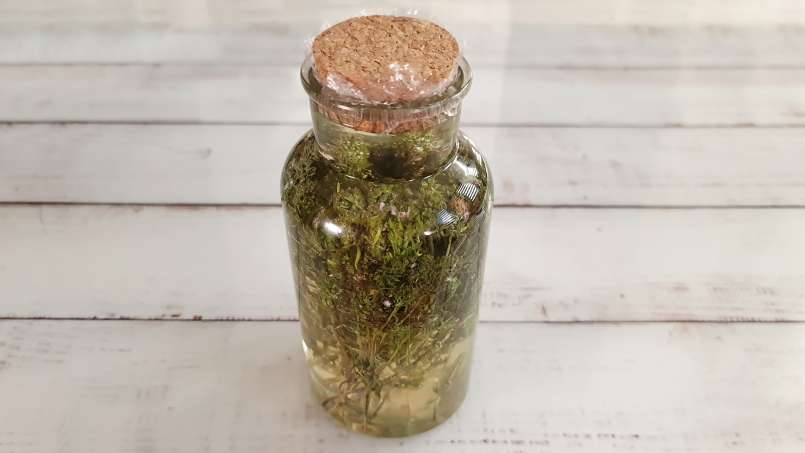 Macerado de tomilho com mel, foto 6