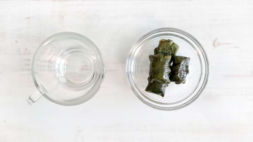 Cubos de gelo de suco de urtiga congelado, foto 5