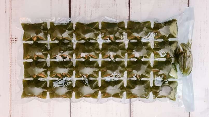 Cubos de gelo de suco de urtiga congelado, foto 7