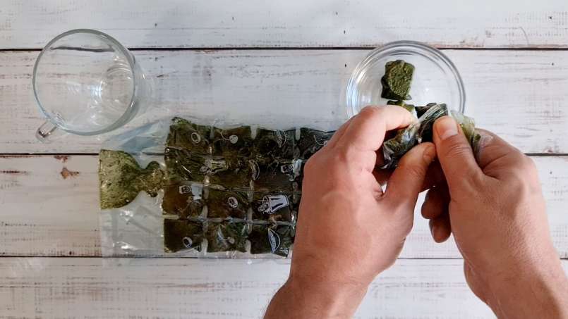 Cubos de gelo de suco de urtiga congelado, foto 10