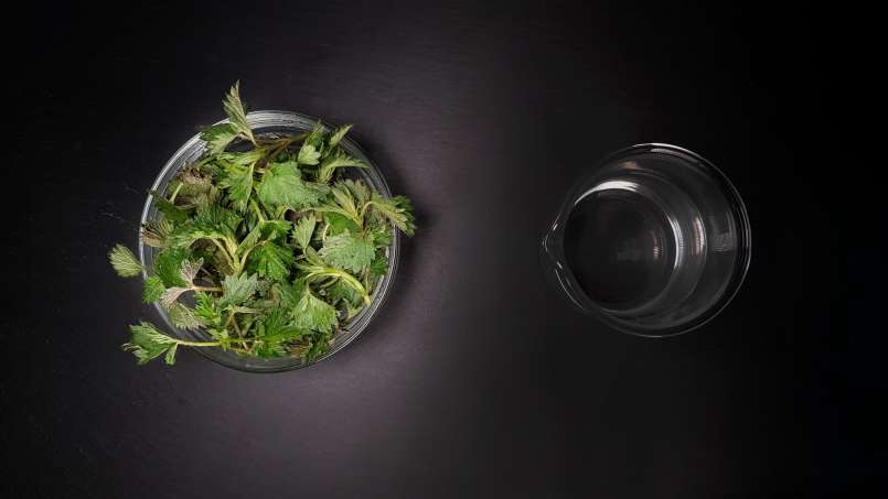 Tintura de urtiga líquida, foto 1