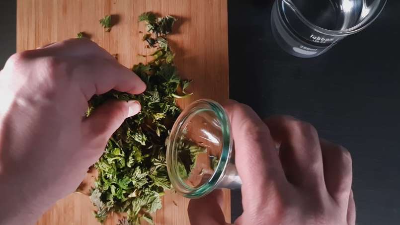 Tintura de urtiga líquida, foto 2