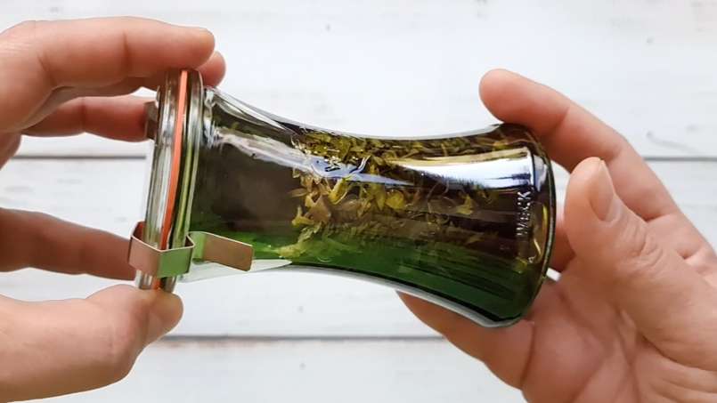 Tintura de urtiga líquida, foto 3