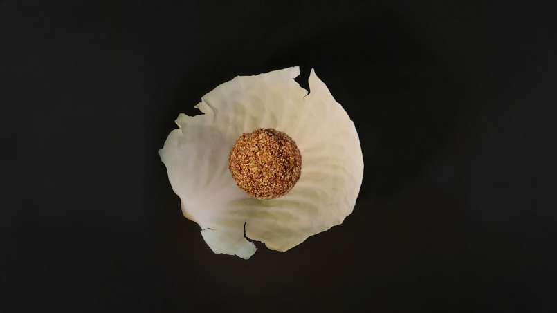 Cataplasma com folhas de repolho e loys, foto 9